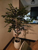 Erna review photo