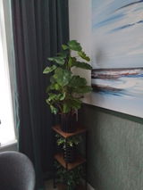 R Thuis review photo