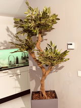 Arie de Haan review photo