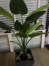 Anoniem review photo