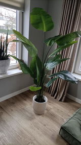 Grietje B review photo