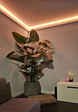 Ilona review photo