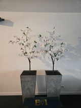 Ilona review photo