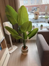 Bas Verkroost review photo