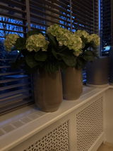 Margriet Corvers review photo
