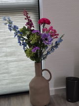 Hed Janssen review photo