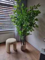 Abel De Vries review photo