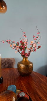 Marjan review photo