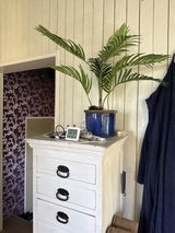 Susan Van der Elst review photo