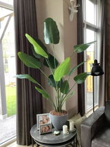 Evert Bakker review photo