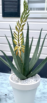 Chrystel review photo