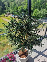 Wendy Vandeput review photo