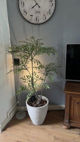 Jos Stoof review photo