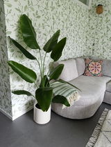 Ria de Keizer-Klomp review photo