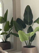 Anoniem review photo