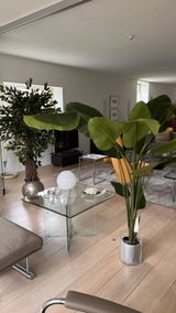 Anneke Vissinga review photo