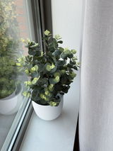 Aad Leeuwen review photo