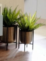Yolanda Maes review photo