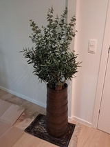 Anoniem review photo