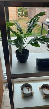 Anoniem review photo