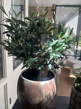 Anoniem review photo