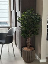 Marina De groot review photo