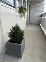 Heiko Lesterhuis review photo