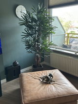 Frits Baart review photo