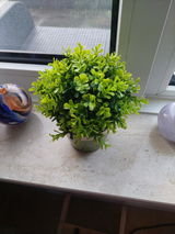Frederike Spaa review photo