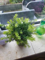 Frederike Spaa review photo