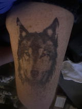 User picture