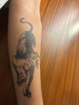 User picture