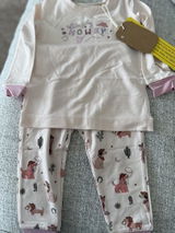 Diane S. review photo