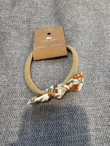 Casey review photo