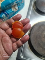 Rewa review photo