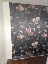 Dylan F review photo