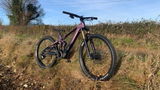 Andrew G. review photo