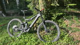 Bruno Zangari review photo