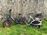 J Trott review photo