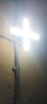 Ashish Chauhan review photo