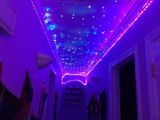 Le Booke Worme review photo