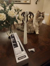 Armand T. review photo
