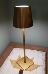 Rosamel review photo