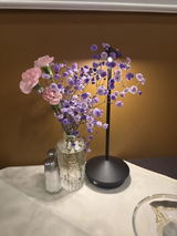 Oriana Martin review photo