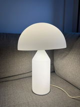 Viviana Vincent review photo