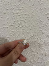 LC review photo