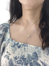 SL review photo