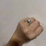 Ellainsing review photo