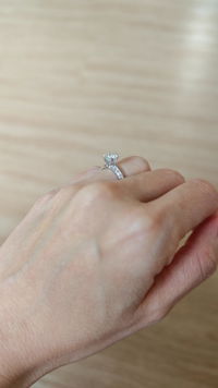 Éclat Classic Round Solitaire Pave Moissanite Ring (6 Prong)