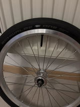 Andreas review photo